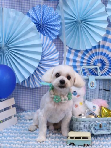 20231114まるくん